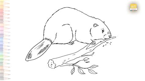 Beaver Drawings Easy How To Draw A Beaver Step By Step Beaver