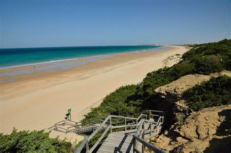 THE BEST Chiclana De La Frontera Nature Wildlife Tours With Prices