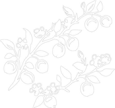 Premium Vector A Floral Pattern With Berries And Berries On A White