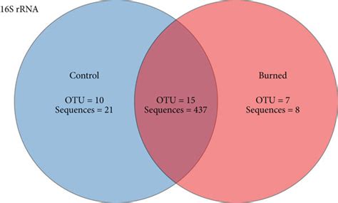 Venn Diagrams Showing Unique And Shared Archaeal 16s Rrna A And Amoa