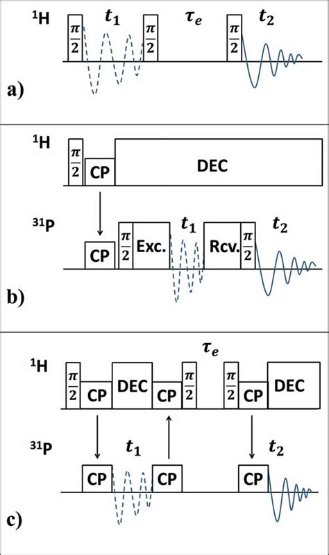 Scheme 4 Schematic Representation Of Solid State NMR Spectrosocpic