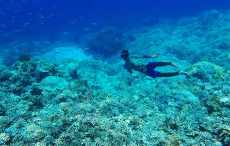 Bajau Laut Can Remain Underwater at 200ft Over 10 minutes!