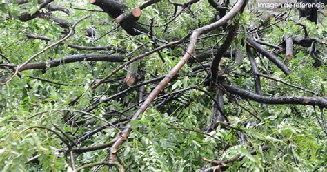 Tragedia En Jinotega Un Ni O Y Un Adulto Mayor Mueren Tras Caerles Un