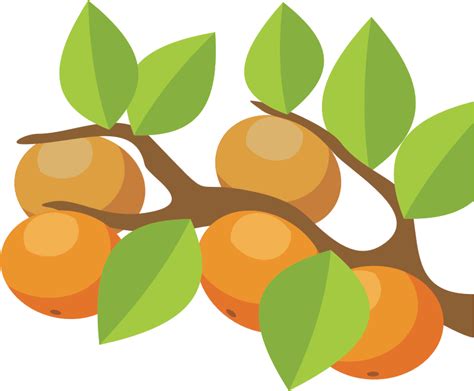 Orange Tree - Openclipart