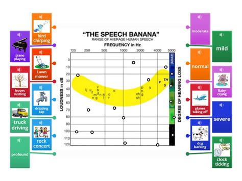 Audiogram diagram - familiar sounds - Labelled diagram