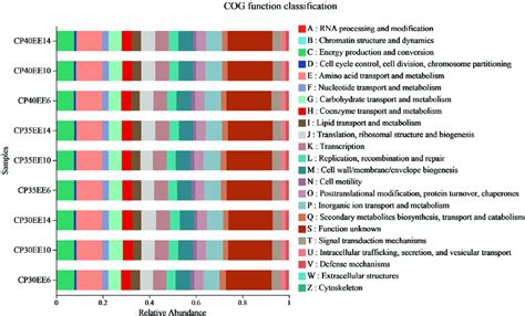 The Cog Function Classification Of Intestinal Flora Cp30ee6 30 Crude