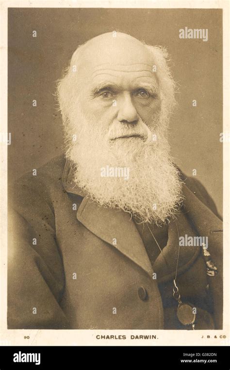 Charles Darwin Naturalist Hi Res Stock Photography And Images