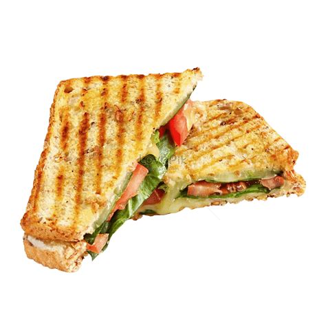 Sandwich Png Online Price | www.gbu-presnenskij.ru