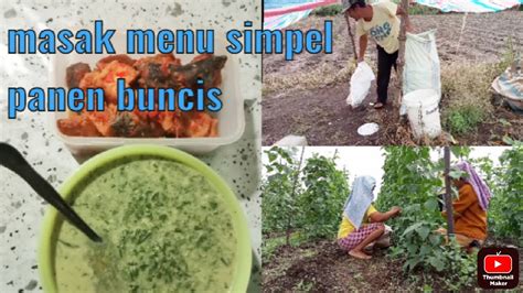 Masak Menu Simpel Dan Panen Buncis Aktifitas Irt Desa Youtube