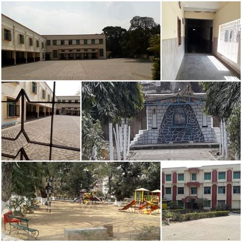 Which school is the best, St. Thomas School, Ranchi or St. Xavier ...