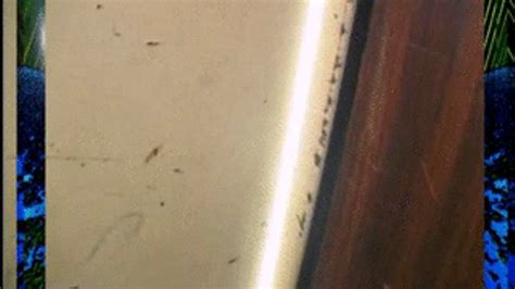 Short Haired Hottie Trying Out A New Dildo HQ German Classic Porn Videos Clips Sale