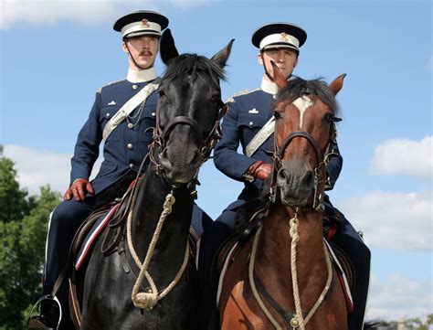 War Horse Joey And Topthorn Wallpapers - Wallpaper Cave