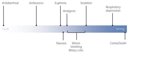 Analgésicos Opioides Concise Medical Knowledge