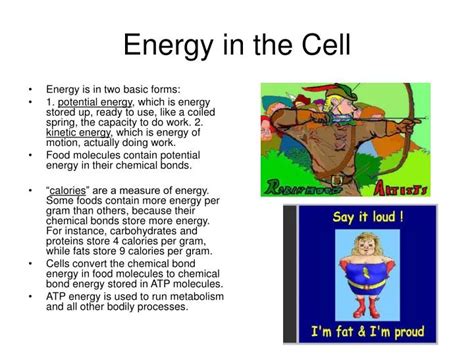 Ppt Energy In The Cell Powerpoint Presentation Free Download Id 219131