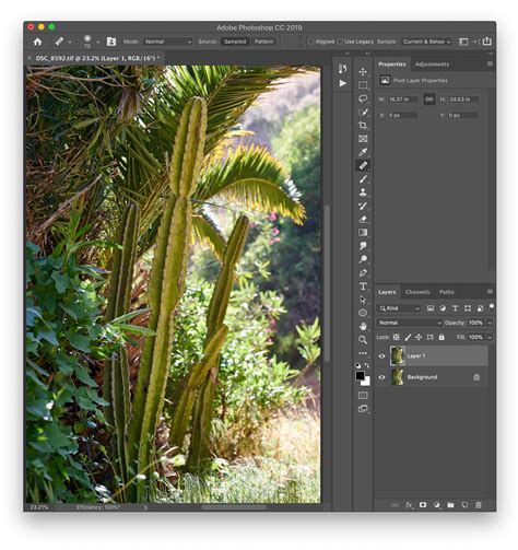 How To Add A Natural Looking Lens Flare In Photoshop Giggster Guide