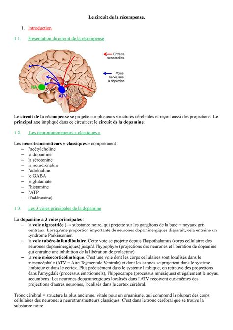 Le circuit de la récompense 1 Introduction 1 Présentation du