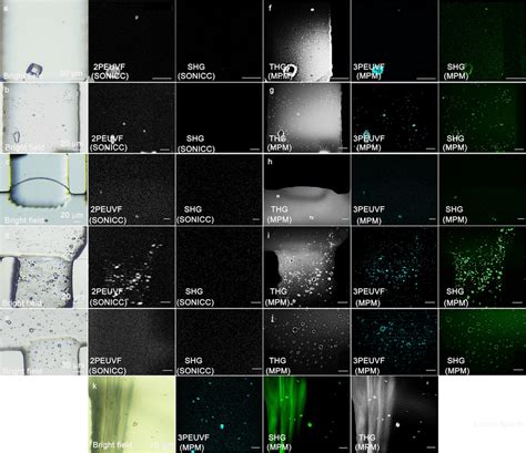 Images Of Different In Vitro Protein Crystals Selected For The Imaging