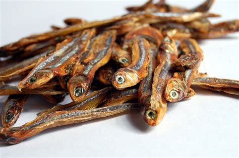 Free Dry Anchovy Fish Stock Photo - FreeImages.com