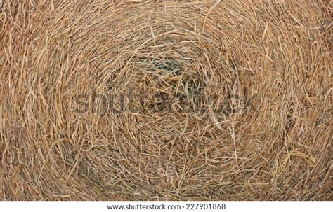 Circle Thatch Texture Wallpaper Stock Photo 227901868 Shutterstock