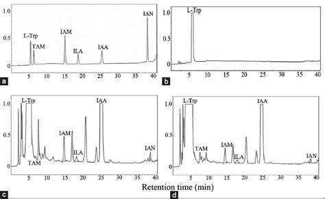 Characterization Of Indole 3 Acetic Acid Biosynthesis And Stability