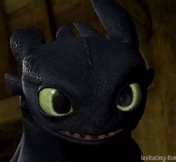 Toothless GIFs - Find & Share on GIPHY