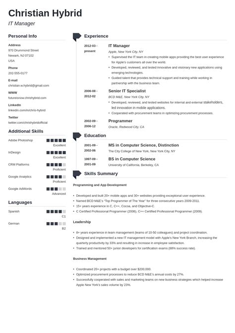 Combination Resume Template 5 Combo Examples