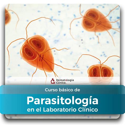 Curso Básico De Parasitología En El Laboratorio Clínico Enero 2025 Hematología Clínica