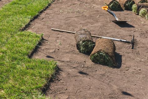 Best Turf And Artificial Grass Maintain Services In Durham