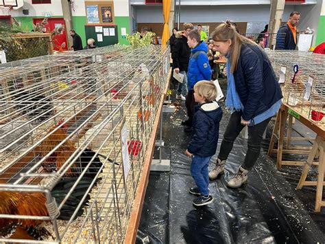 En Images Les Plus Beaux Lapins Et Poules De France