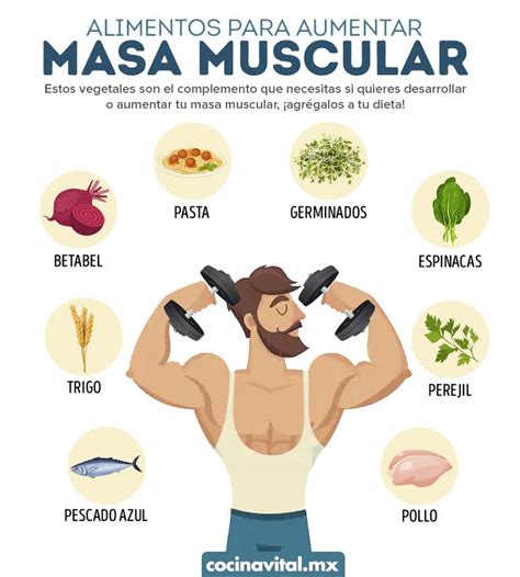 Introducir 69 Imagen Recetas Para Hacer Musculo Abzlocal Mx