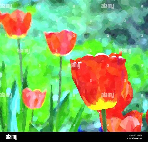 Red tulips painting hi-res stock photography and images - Alamy