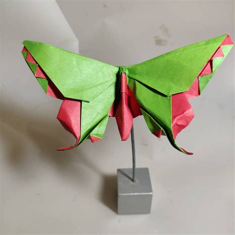 Origami Butterfly Tradinal - Origami