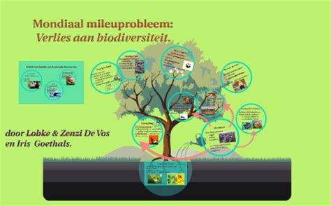 Verlies Aan Biodiversiteit By Lobke De Vos On Prezi