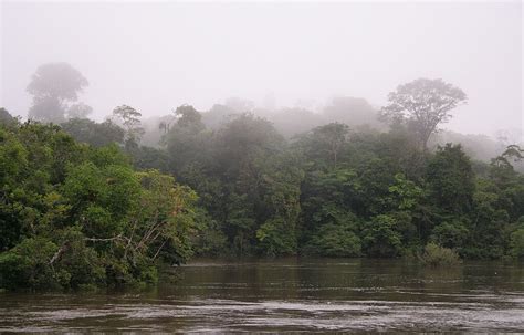 Central Suriname Nature Reserve: A Bastion of Biodiversity & Cultural Heritage | LAC Geo