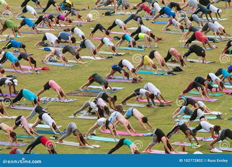 People Do Downward Facing Dog Pose In Group Yoga Class Editorial