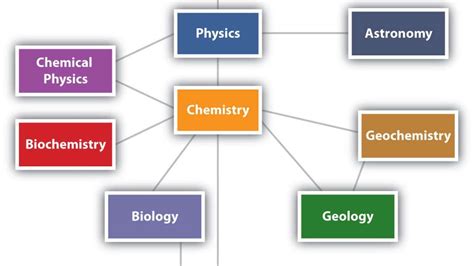 Branches Of Science - ELT Buzz Video Lessons