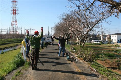 令和元年度第5回桜の会草刈実施／歴史とロマンのふるさと ひらつか豊田／地元密着 ちいき情報局