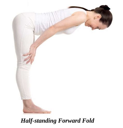 Standing Half Forward Bend Ardha Uttanasana Examsector