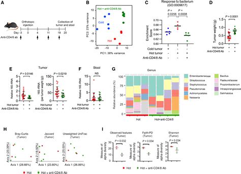 Multimodal Immune Phenotyping Reveals Microbial T Cell Interactions