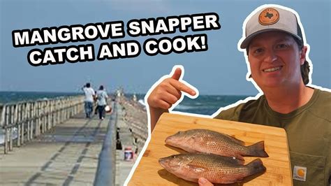 Mangrove Snapper Catch And Cook Fishing The Packery Channel In Corpus