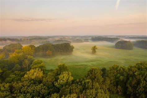 Premium Photo Riparian Forest With Morning Mists From Aerial Perspective