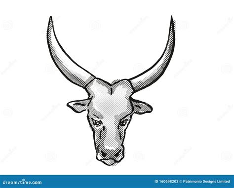 Ankole Watusi Cow Vector Silhouette Isolated On White Background. Bos ...