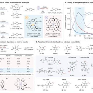 A Mechanistic Investigations Into The Photolysis And Catalytic