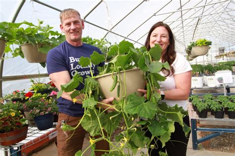 Nonprofit Supplies Fresh Produce To Local Food Pantries News Sports