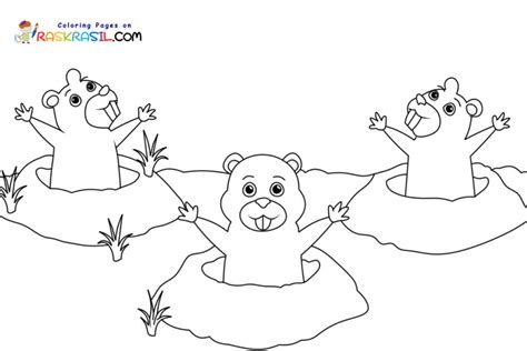 Desenhos De Dia Da Marmota Para Colorir