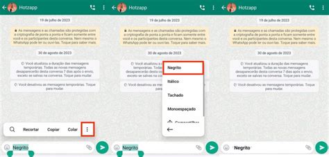 Como Colocar Negrito No Whatsapp Blog Da Hotzapp