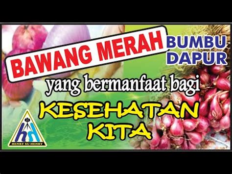 BAWANG MERAH BUMBU DAPUR YANG BERMANFAAT BAGI KESEHATAN KITA YouTube