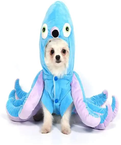 30+ Perfect Halloween Costumes for Small Dogs