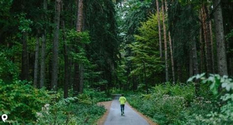 Peran Hutan Kota Ui Dalam Bawa Keberlanjutan Lingkungan Ke Tingkat