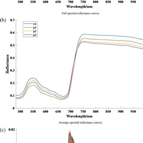 Schematic Diagram Of Rf A Full Spectral Reflectance Curves B